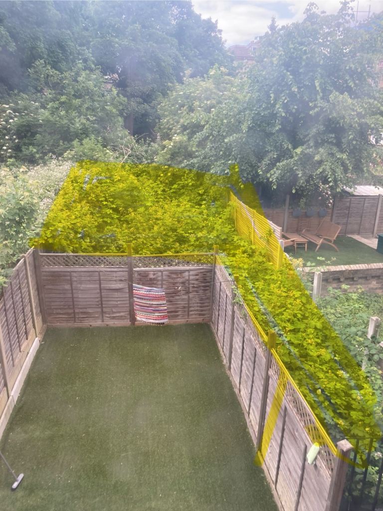 Cut down overgrown weeds 