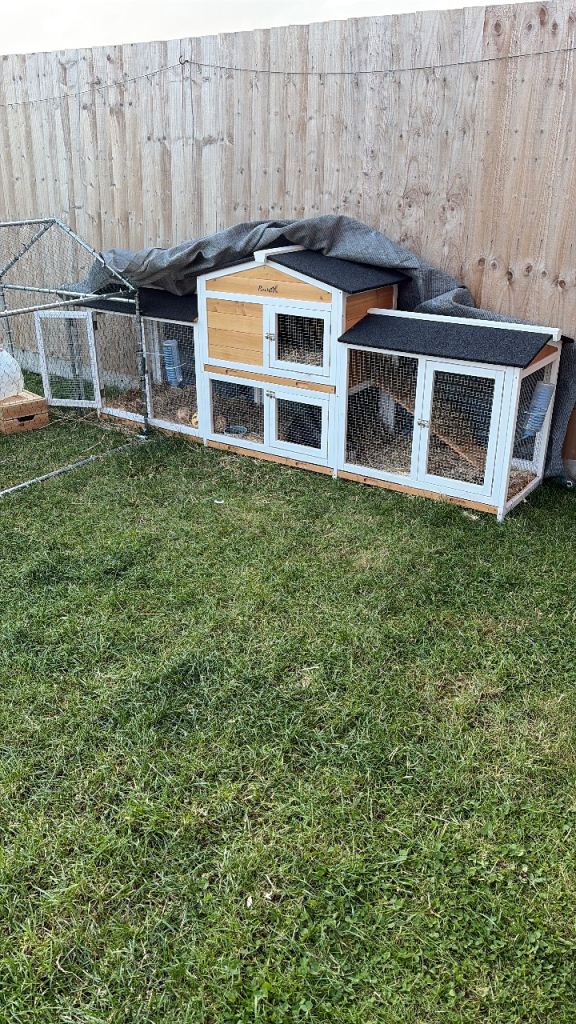 Large Rabbit hutch 