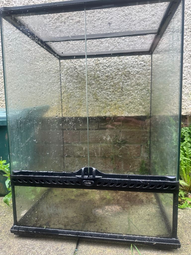 Large Glass Terarrium Exo Glass Terarrium *EXCELLENT CONDITION*