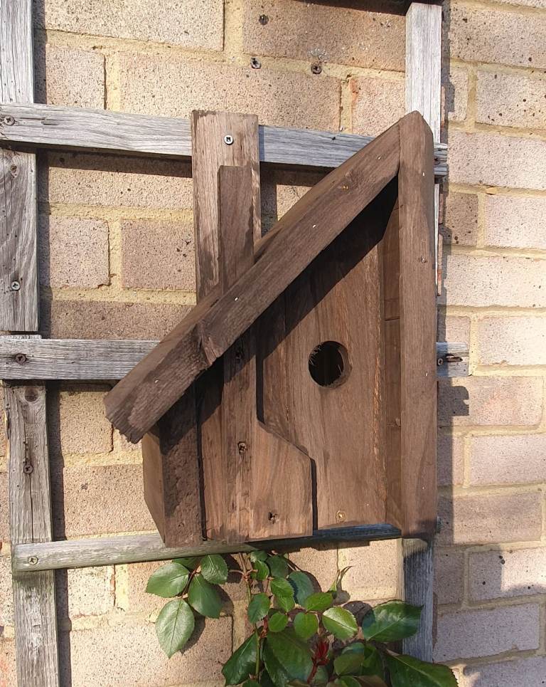 Wild bird nesting box. Cabin style next box.