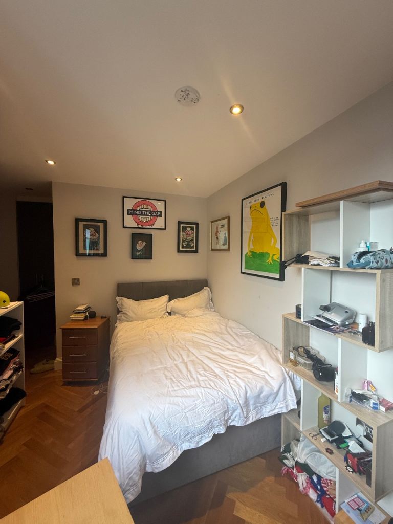 Penthouse Room Available in Borough 