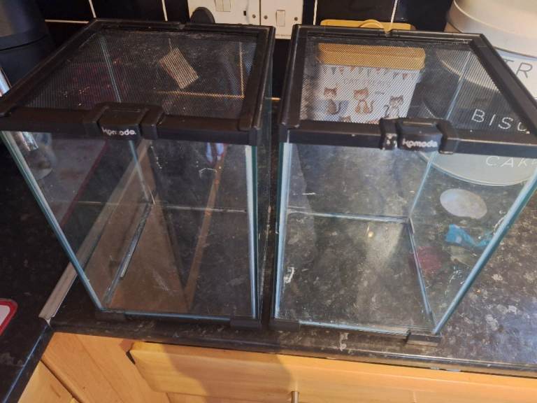 Various glass vivariums for sale