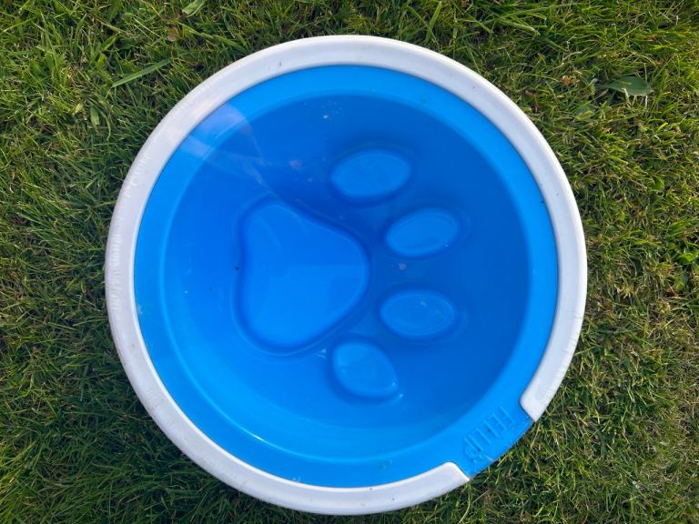 KALEIDO Good Manners anti gulp dog bowl