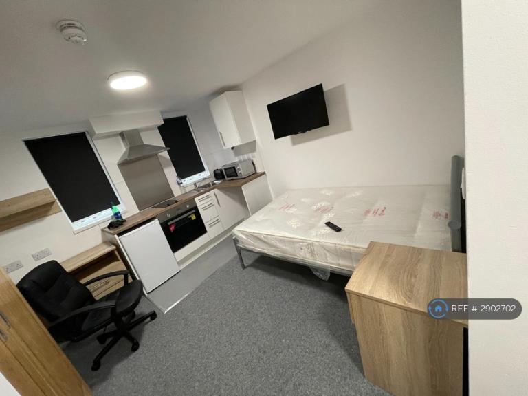 Studio flat in Regent Road, Leicester, LE1 (#2902702)