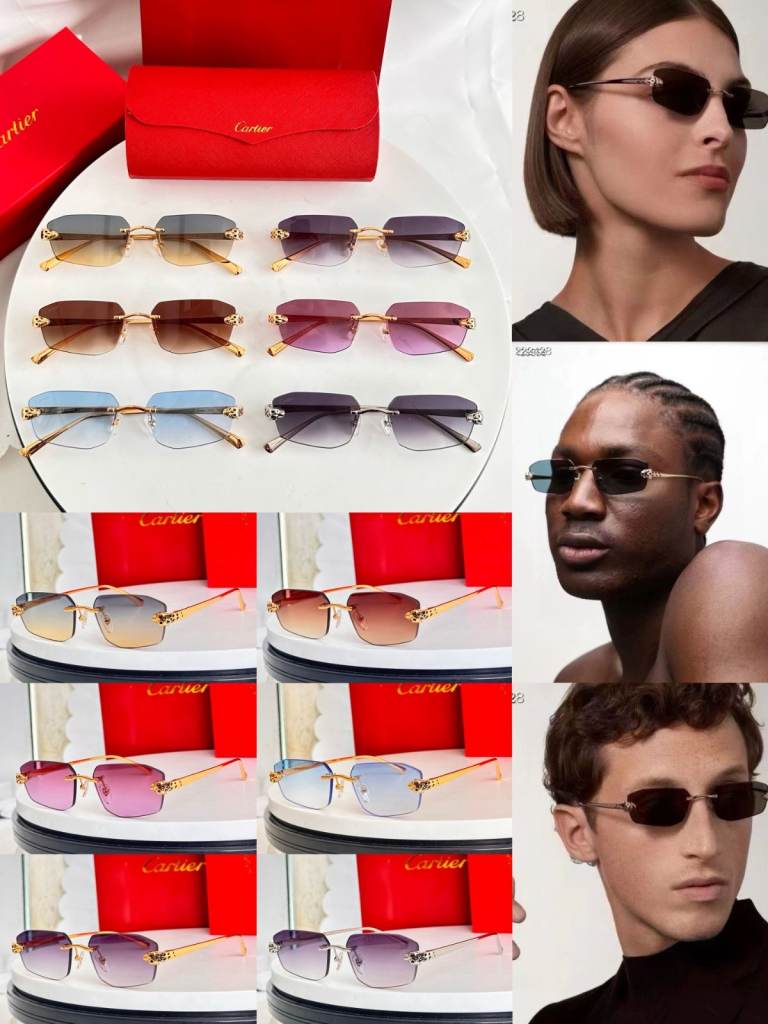 cartier sunglass unisex (brand new)