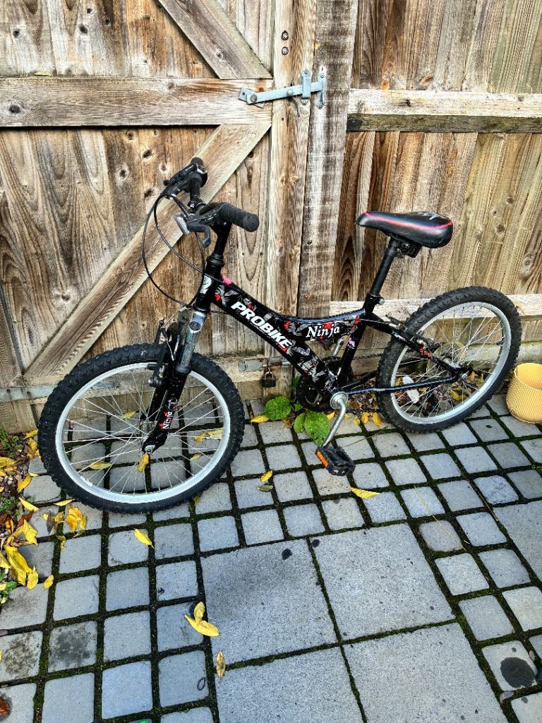 20" Kids Ninja Probike Bicycle