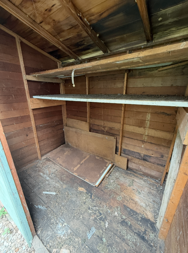 Free Shed!