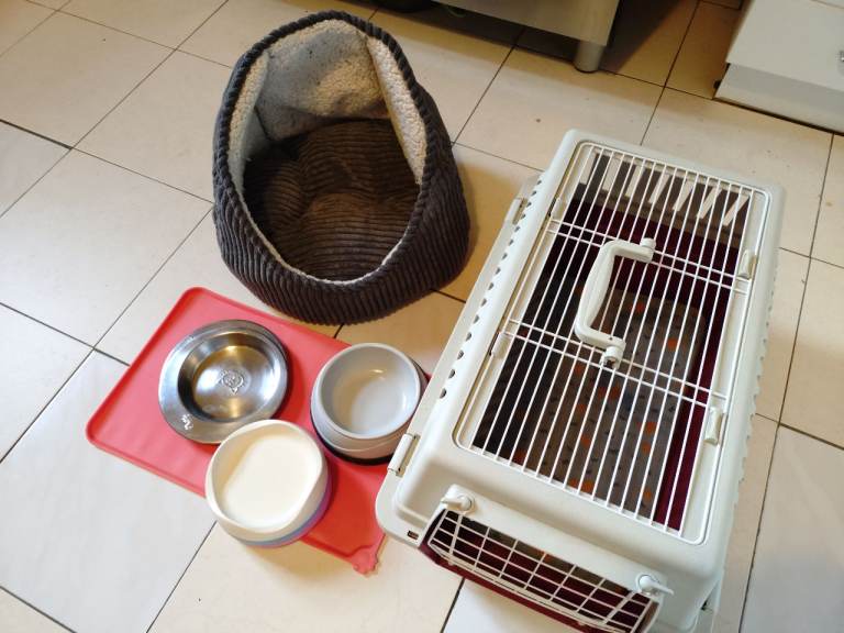 Cat starter kit (travel box, eating mat & dishes)