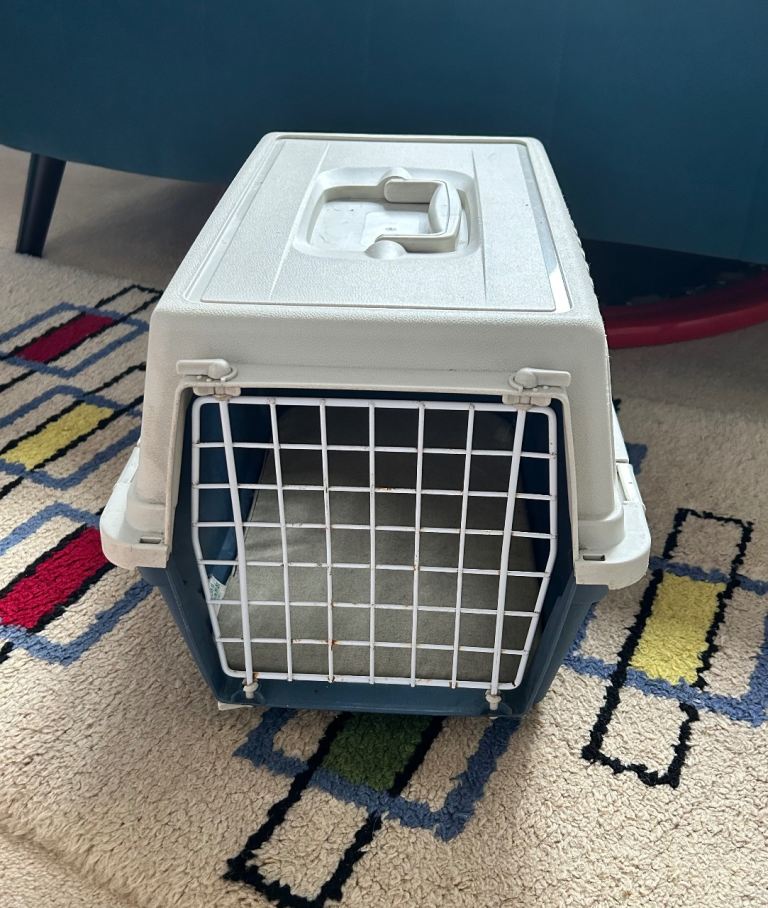 Cat basket