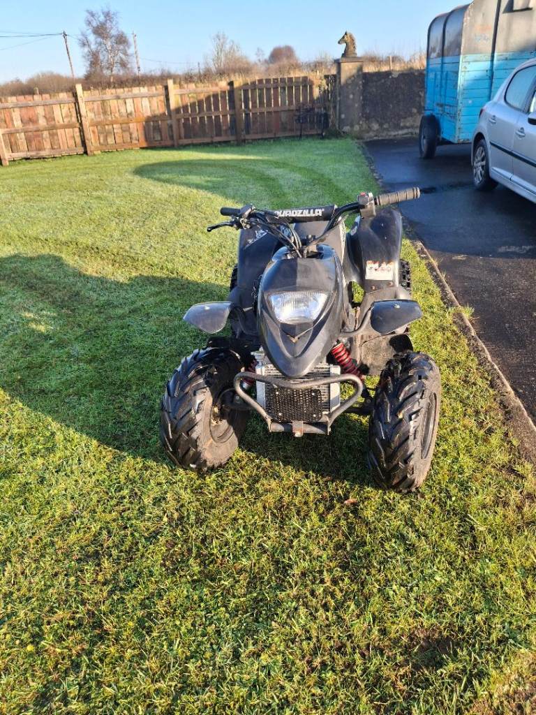 100cc Quadzilla quad 