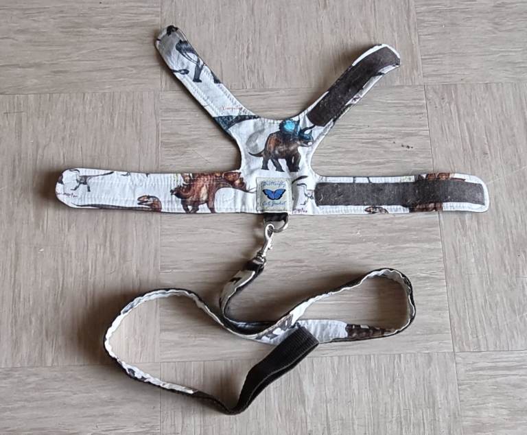 Cat Kitten Lead Leash