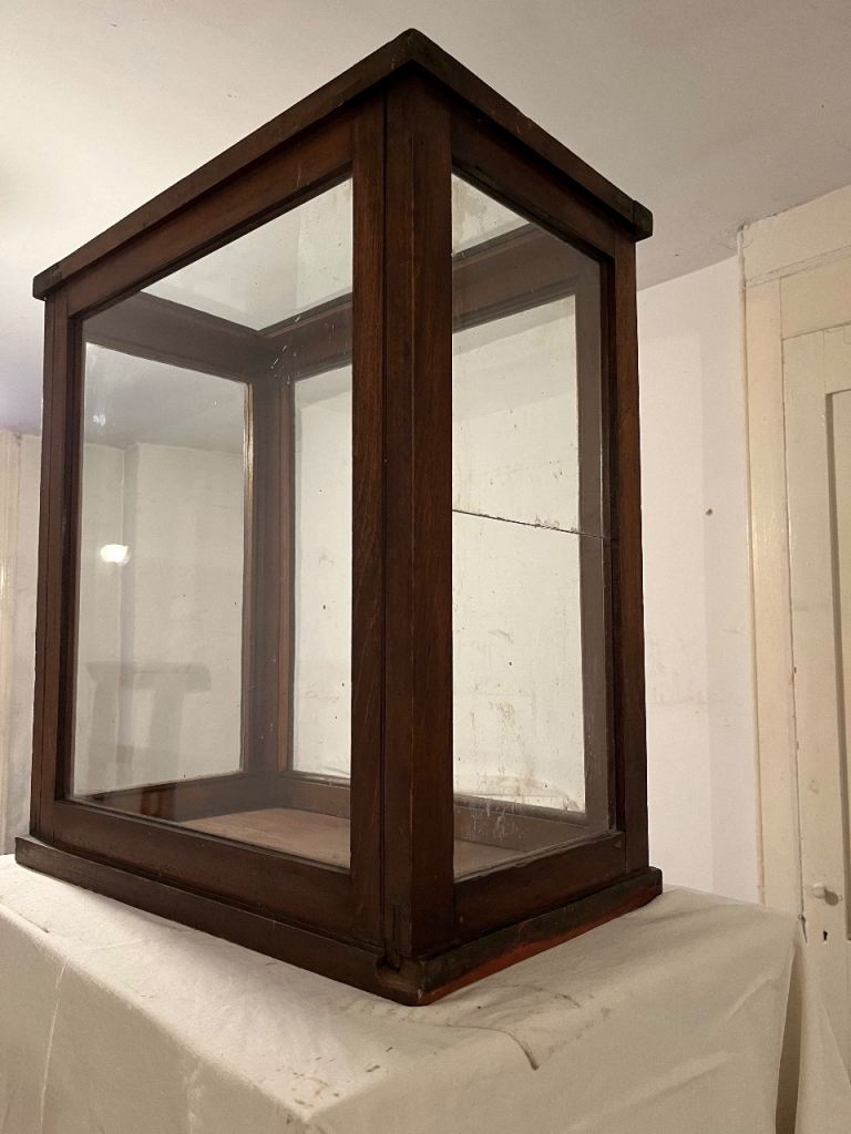  Vintage display case / cabinet - oak and glass