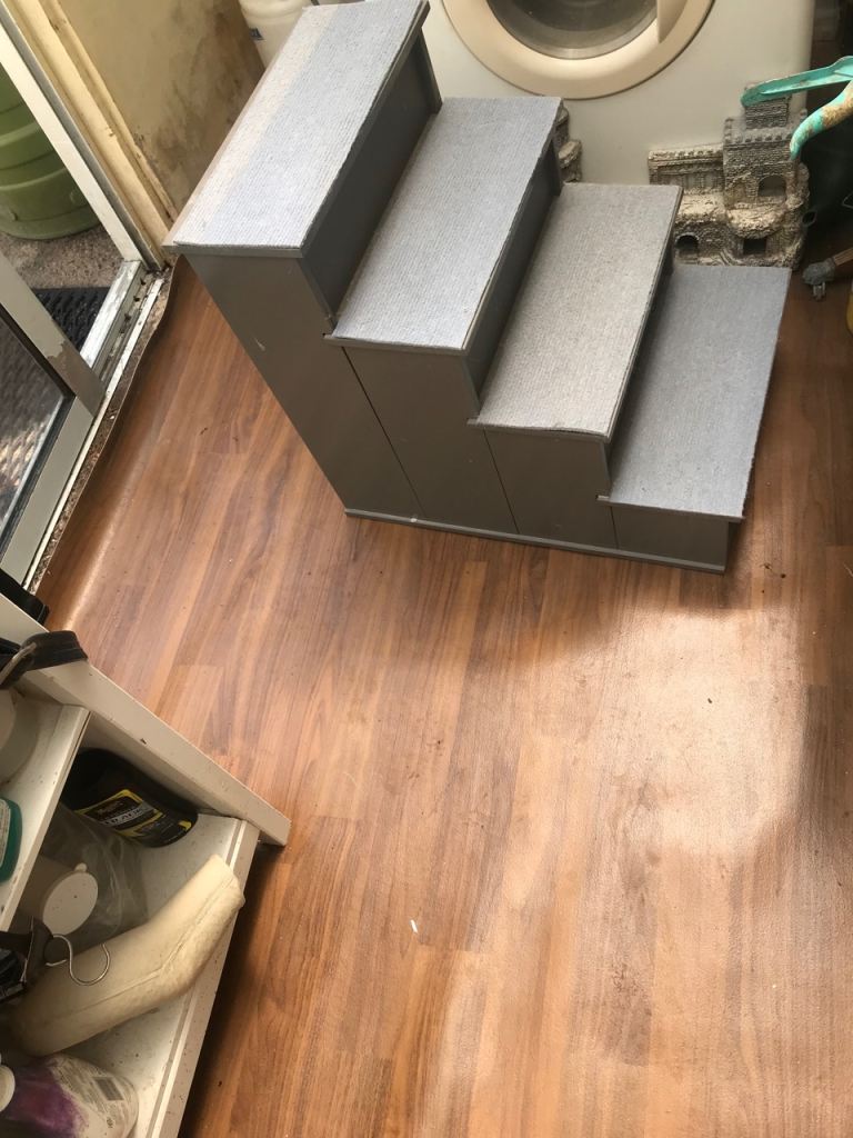 Pet accessarys