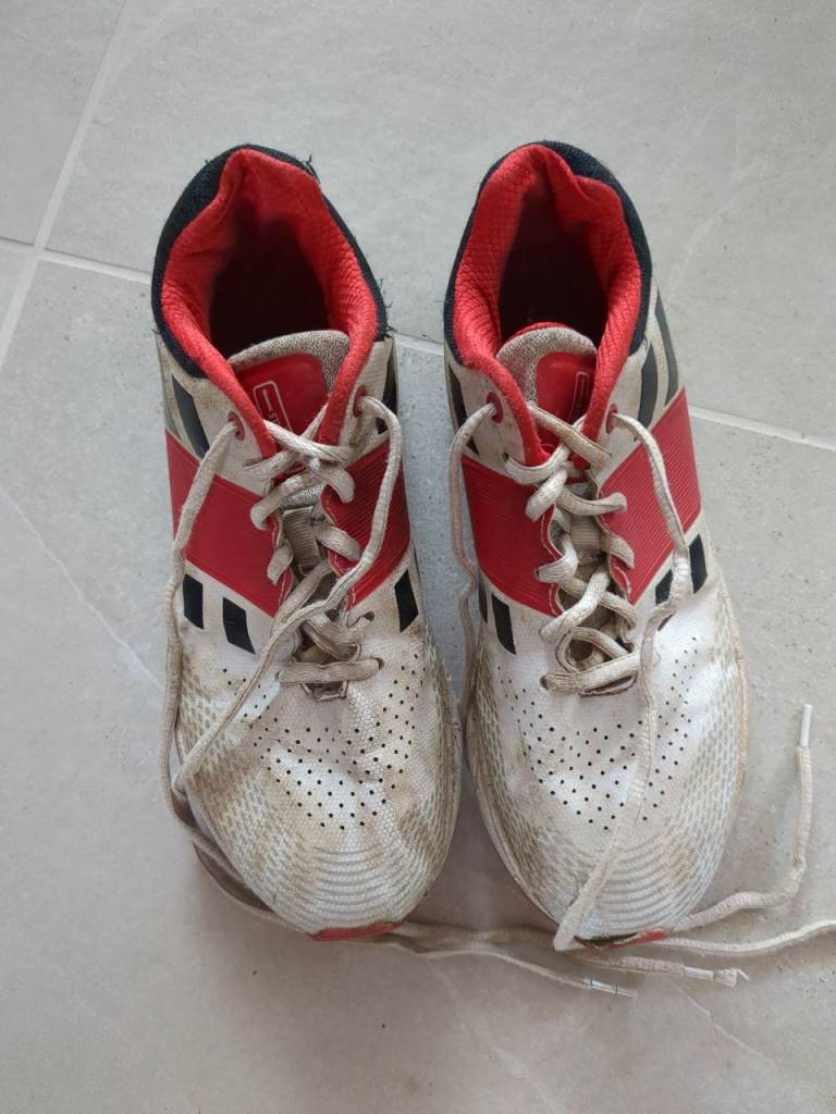 Cricket spikes size 5