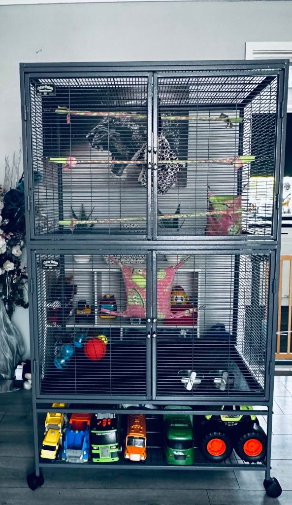 Large Pet cage 