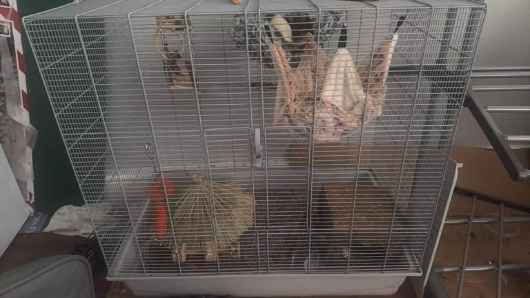 Gently used rat cage 