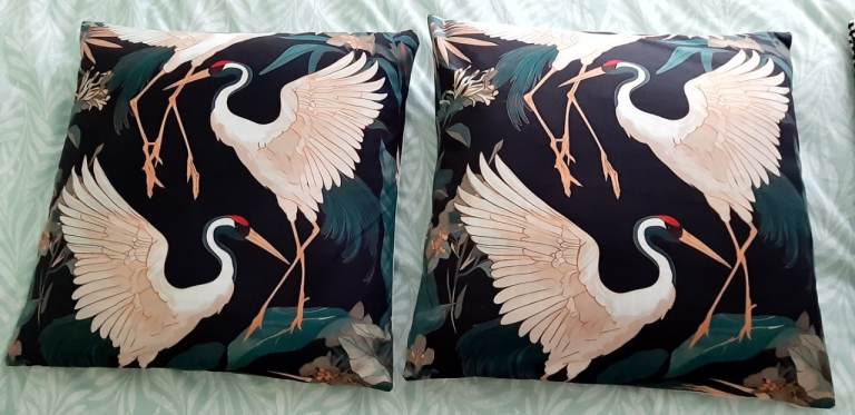 Black & white cushions