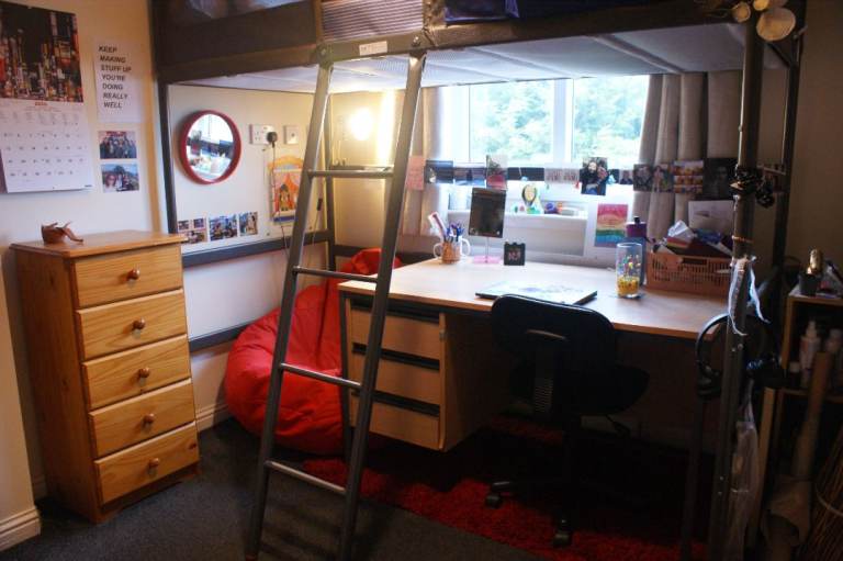 Room For Female University Student