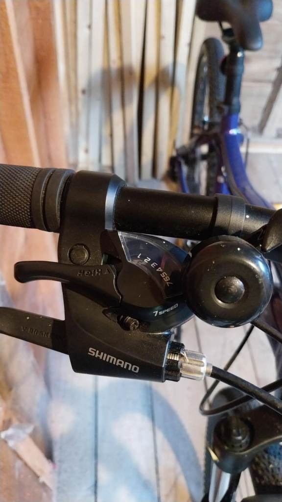 2020 Liv Bliss 3 Disc Hardtail Mountain Bike - Purple 