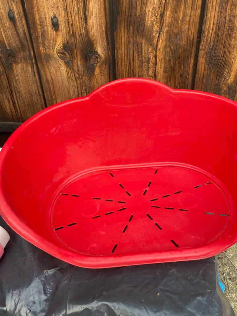 Plastic dog beds 