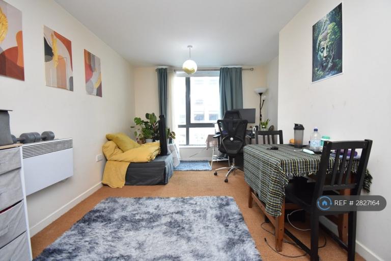 1 bedroom flat in The Lock Building, London, E15 (1 bed) (#2827164)