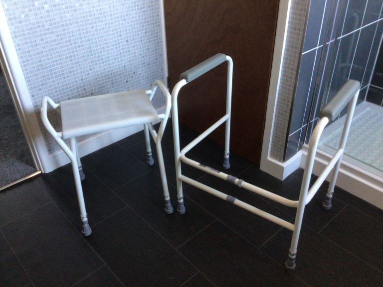 Shower seat and toilet aid