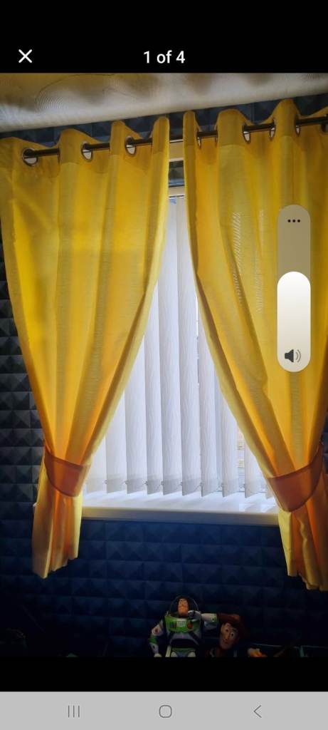 Ring top curtains and light shade 