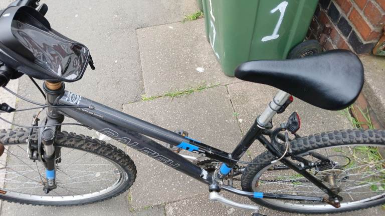Raleigh Bike