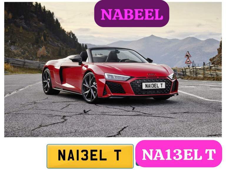 Nabeel t dvla 3