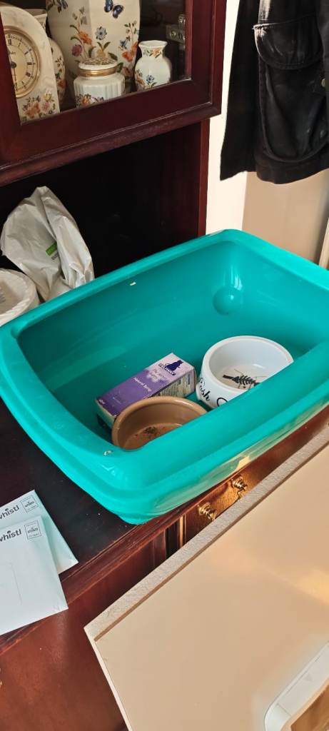Cat complete keeping kit