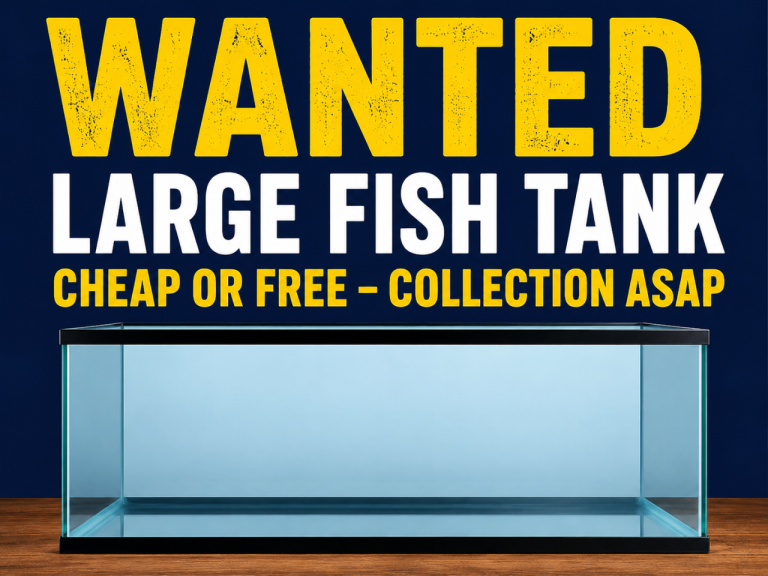 Wanted fish tank