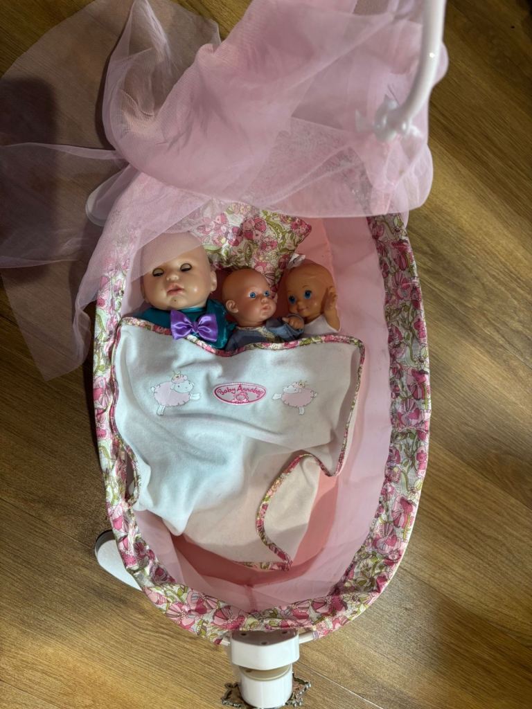 Baby Annabell Dolls and Moses Basket Play Set