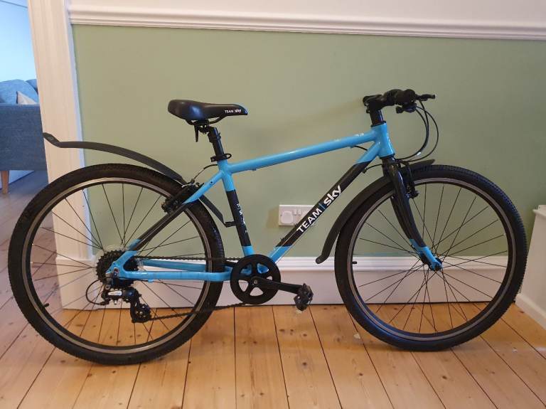 Team Sky Frog Bike 73