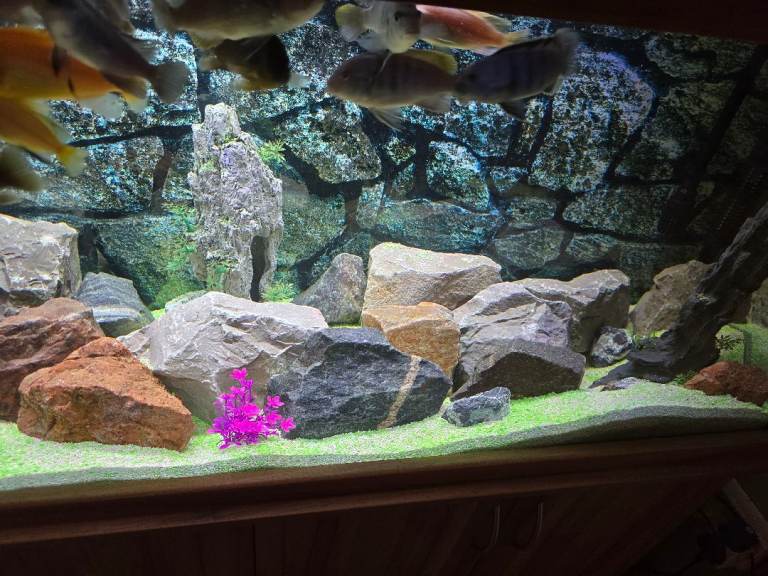 Aquarium rocks. 