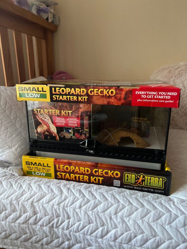 Exo terra leopard gecko full set up 