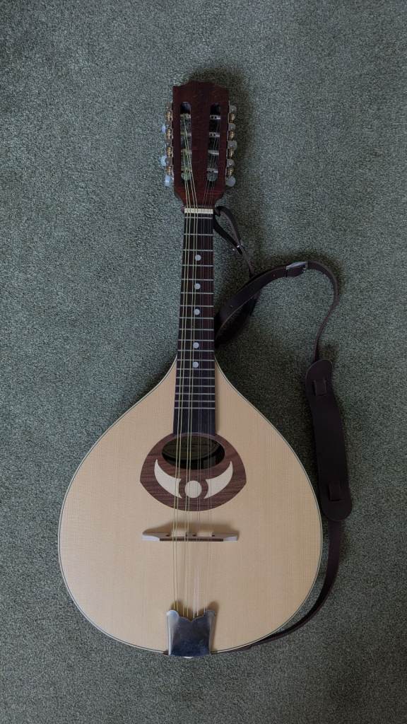 Ozark 2001 mandolin with hard case