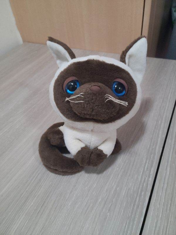 Siamese cat plushie