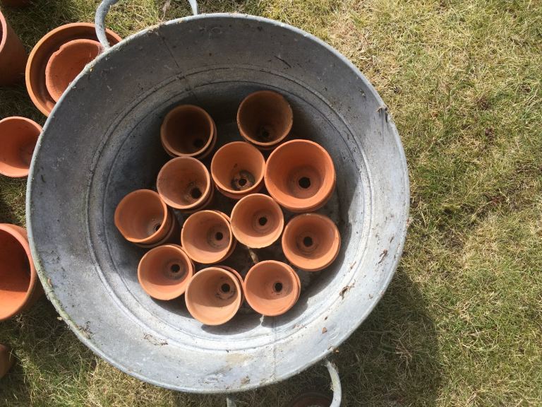Selection of small and medium vintage terracotta pots