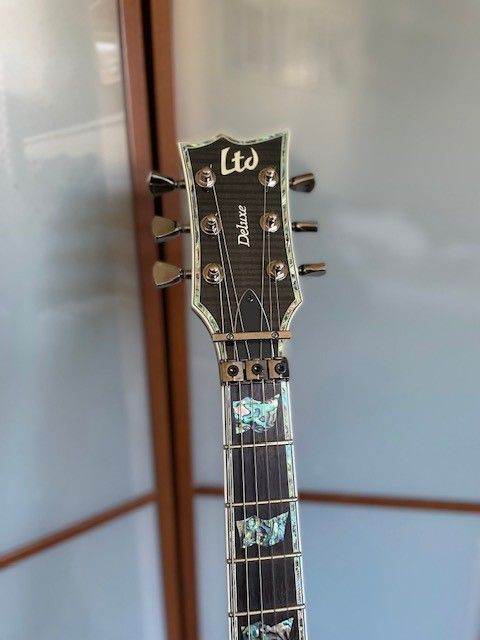 LTD EC-1000 FR See Thru Black