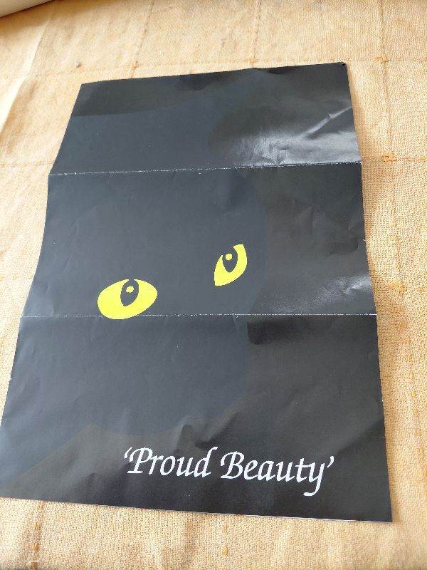 Set of 4 Black Cats ( German/Famous Artist)