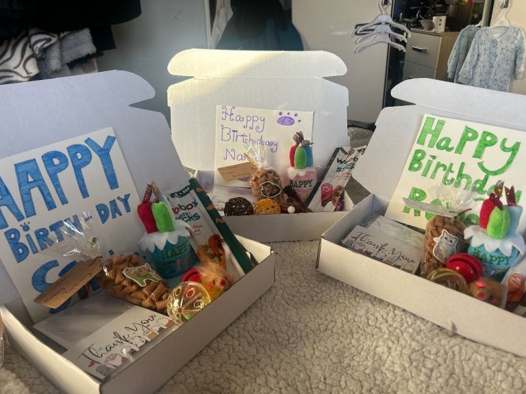 Cat birthday box 