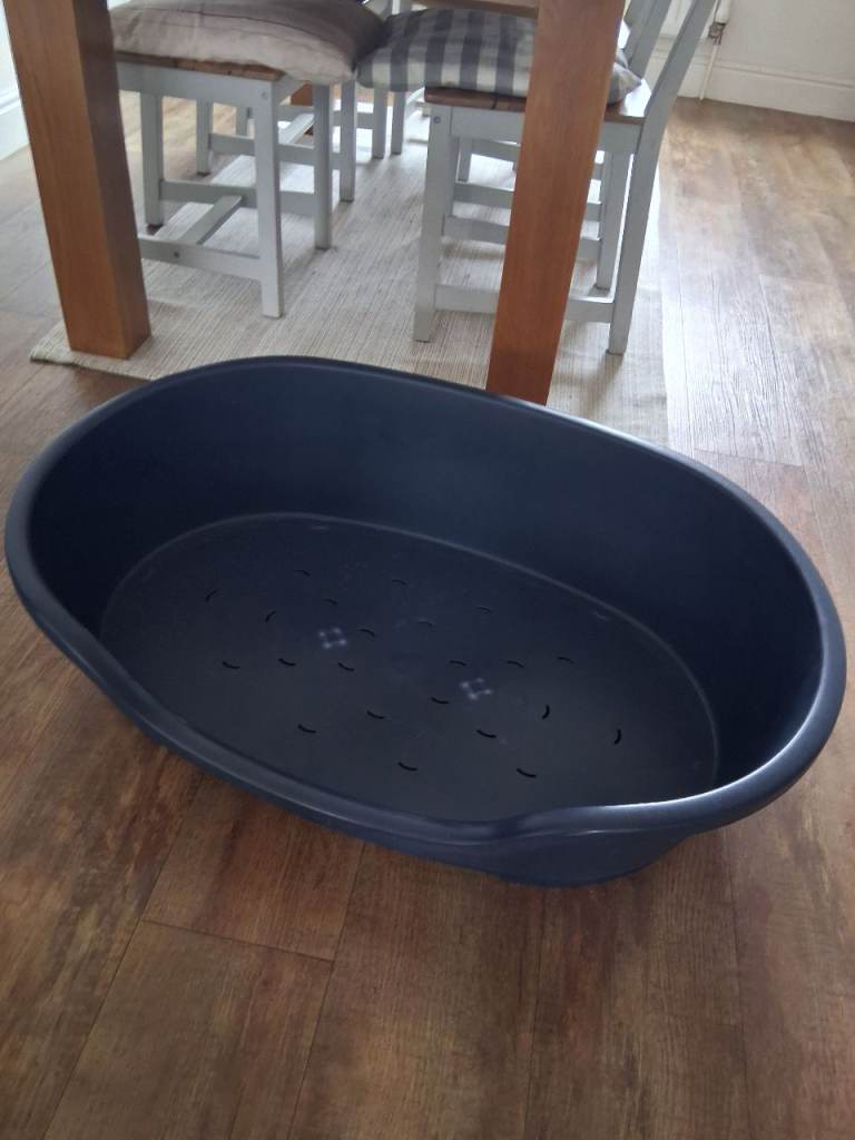 Free large dog bed
