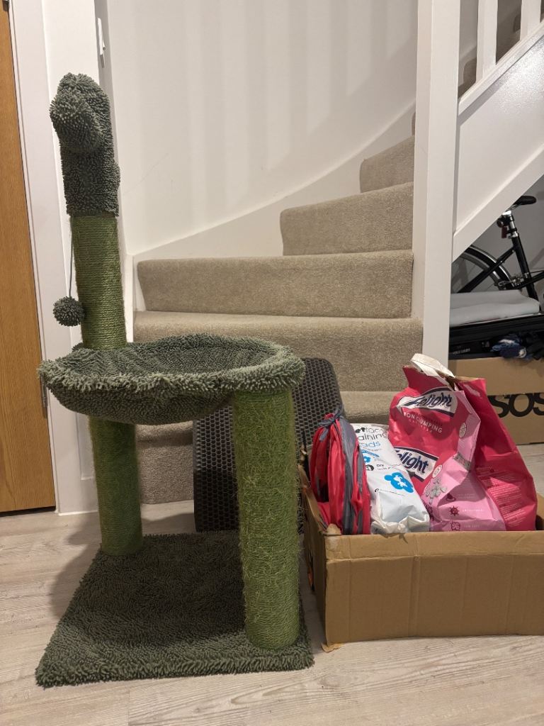 FREE TO COLLECT - cat tree toys bowls