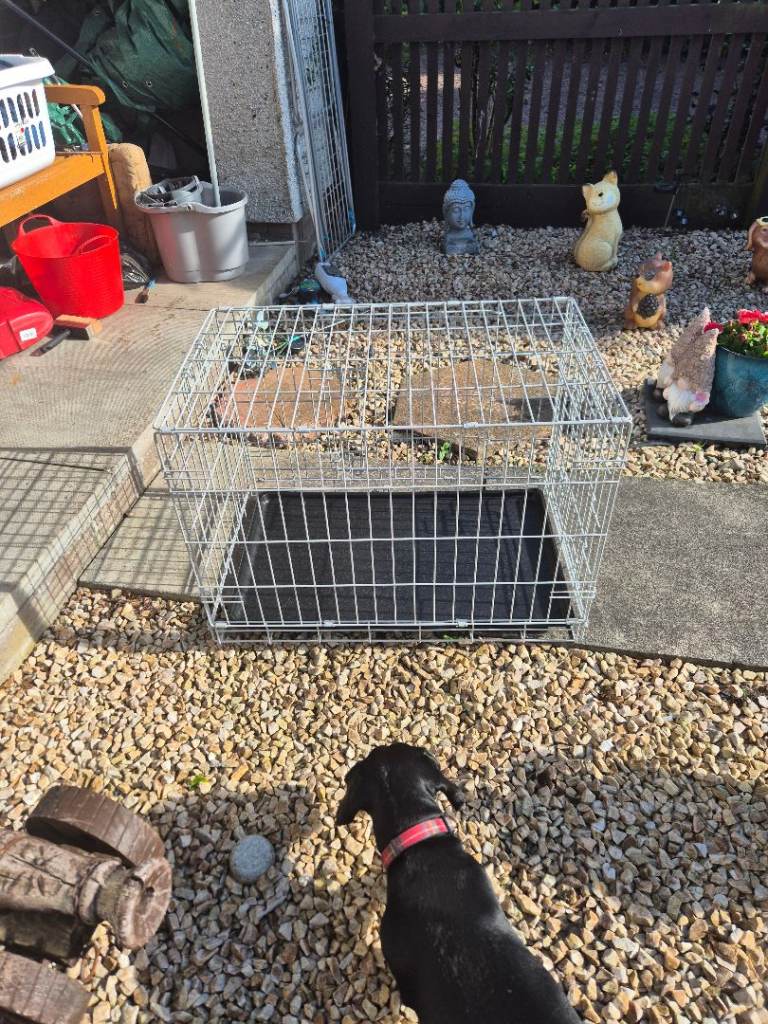 Metal Wire dog kennel Good Condition