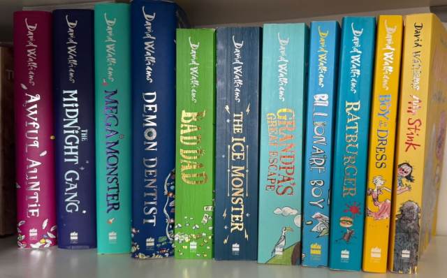 David Walliams Book Collection – 11 Hardback Books | in Wokingham