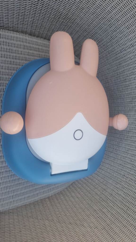 Cute Bunny Potty Training Seat - As Good As New
