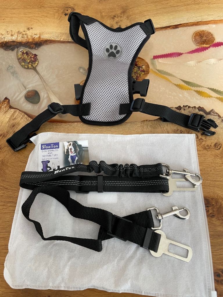 Slow Ton dog harness and seatbelt set size M