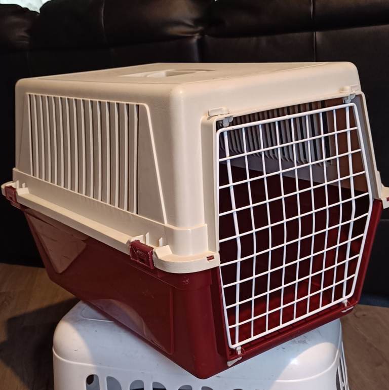 Pet Carrier 