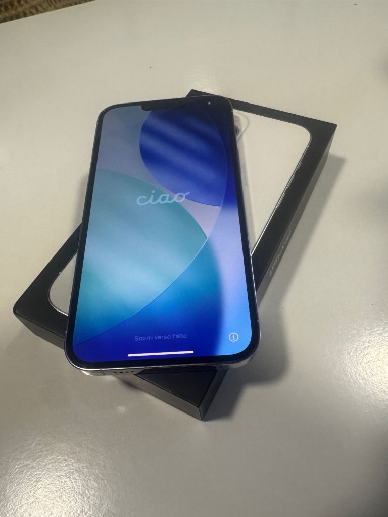 iPhone 13 Pro Max