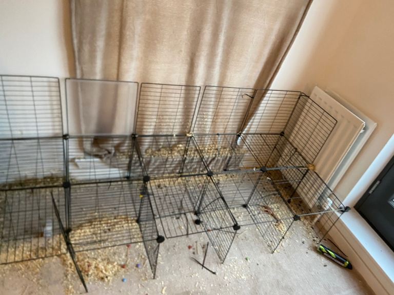 Large Guinea pig cage 